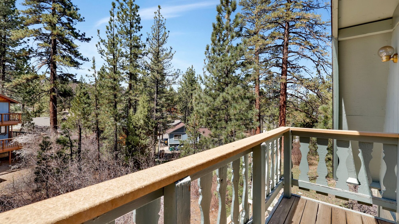 Photo of Outdoor in Fox Farm
