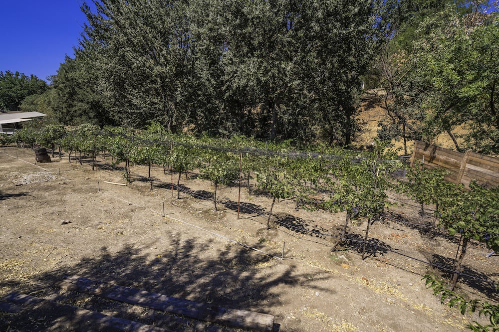 Photo of Others in Agoura Hills