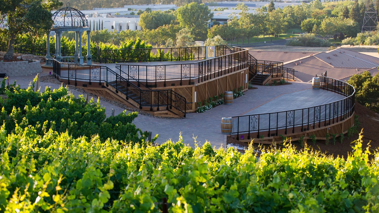 Photo of Others in Napa