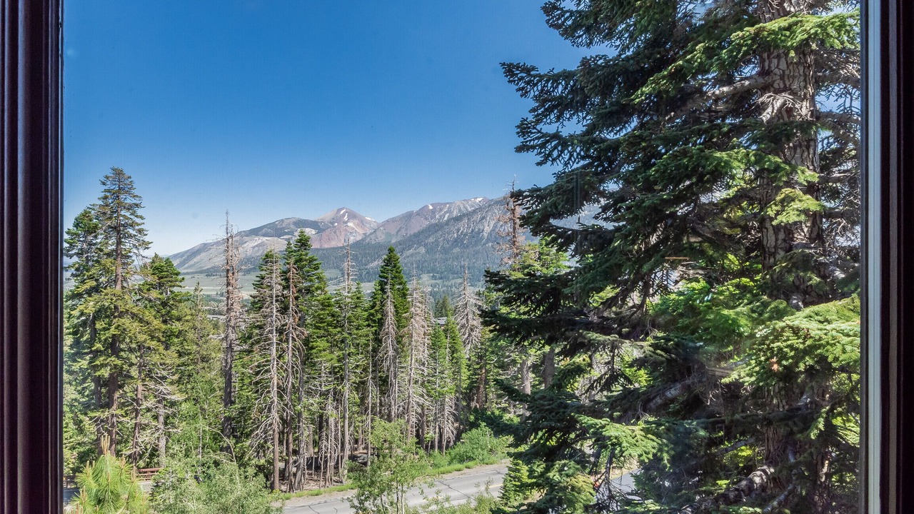 Photo of Others in Mammoth Lakes