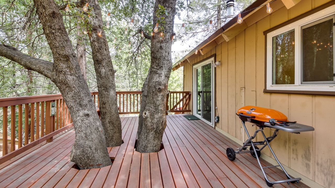 Photo of Outdoor in Cedar Glen