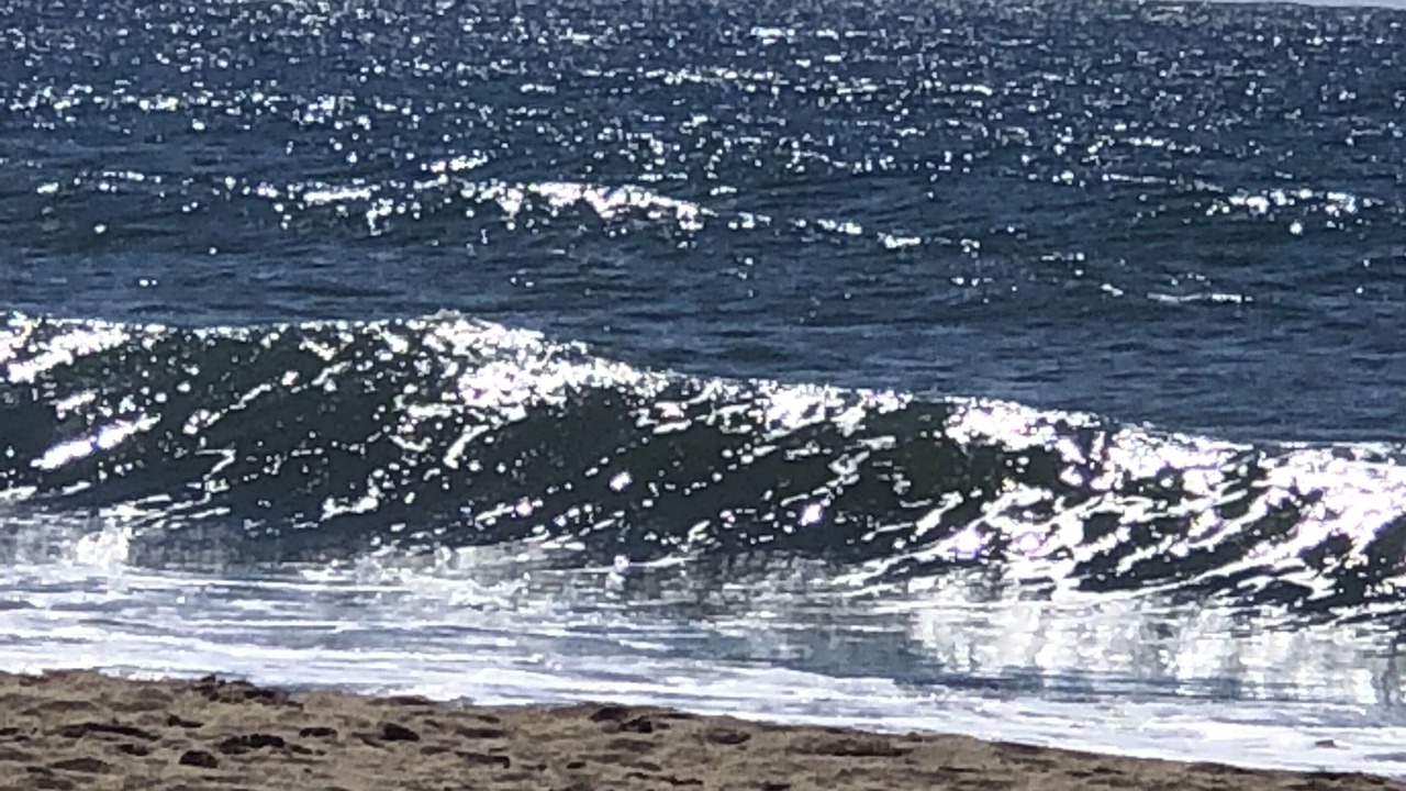 Photo of Others in Pacific Palisades