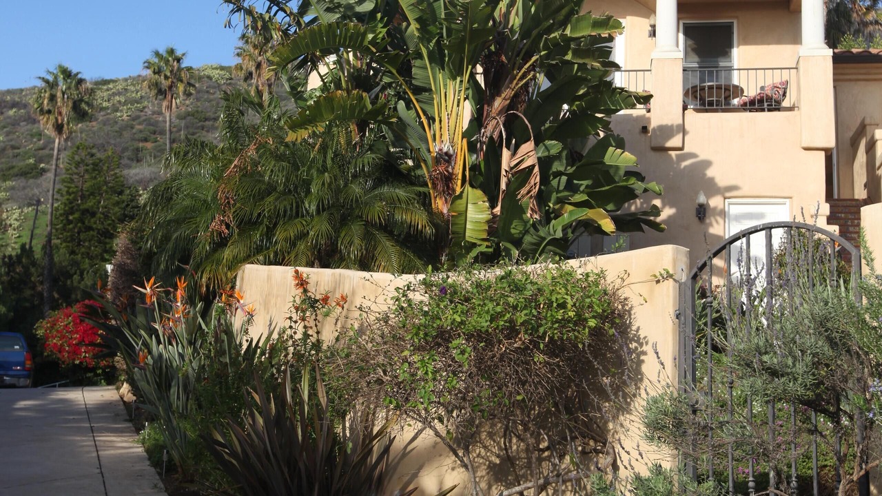 Photo of Outdoor in Malibu