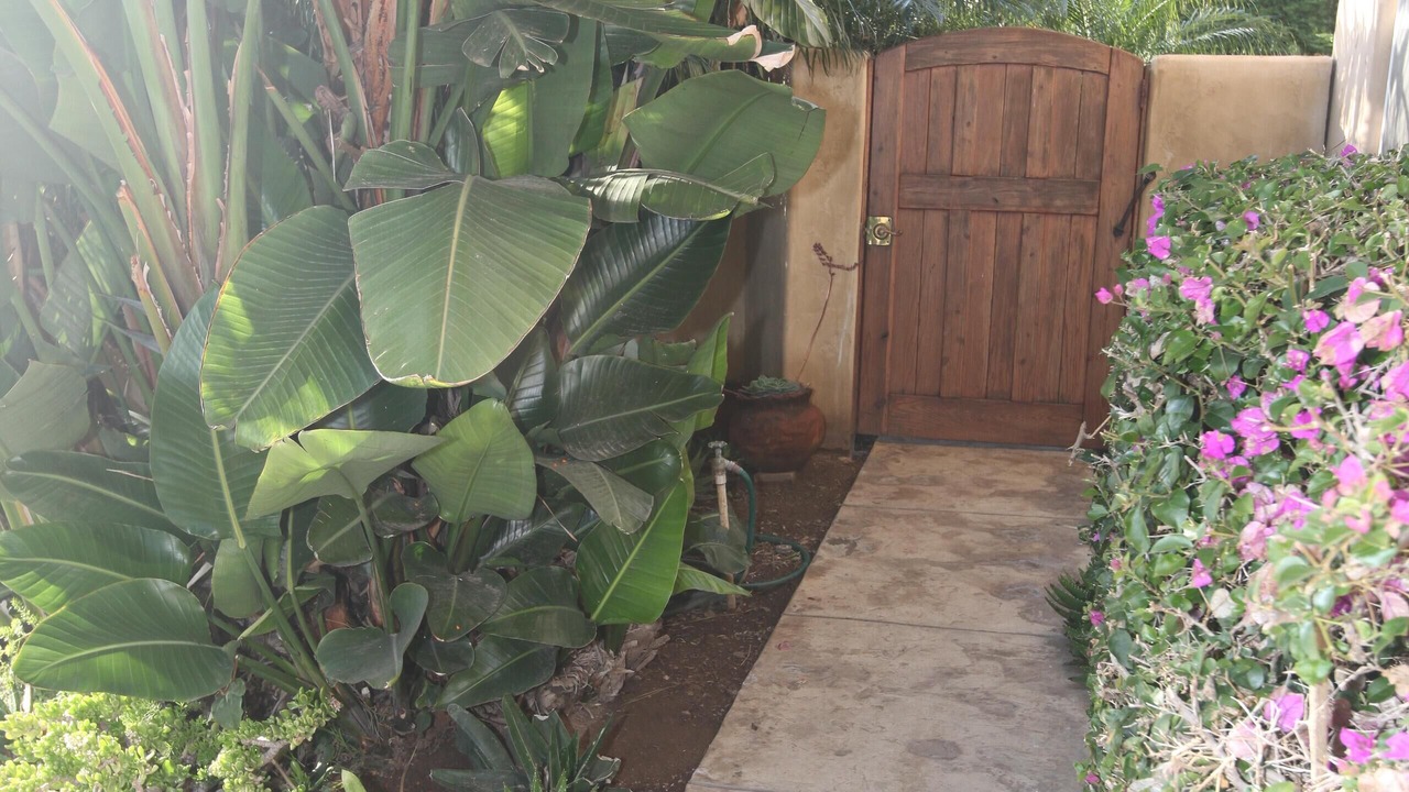 Photo of Outdoor in Malibu