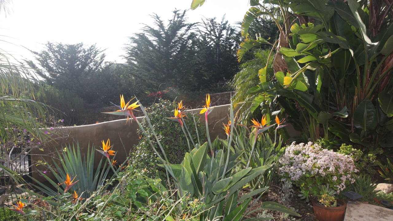 Photo of Outdoor in Malibu