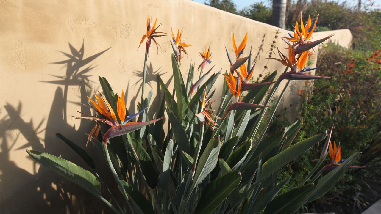 Photo of Outdoor in Malibu