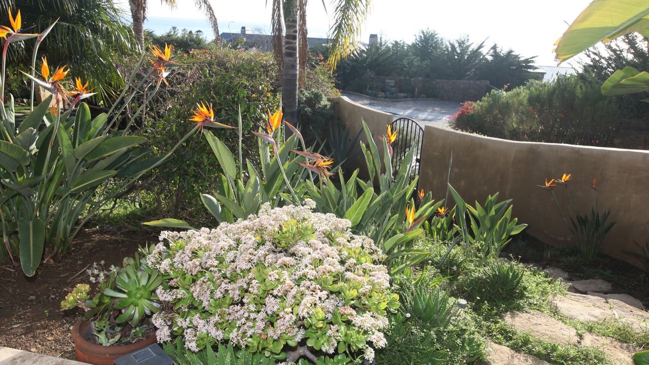 Photo of Outdoor in Malibu