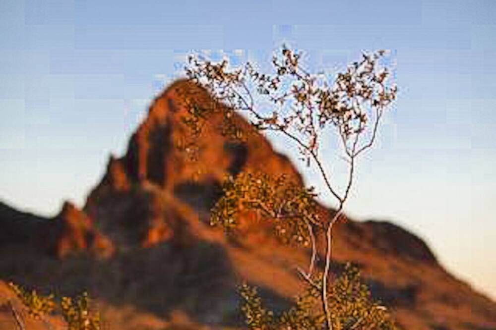 Photo of Outdoor in Needles