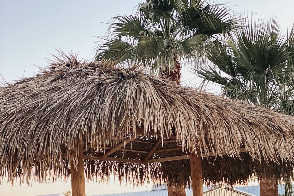 Photo of Outdoor in Needles