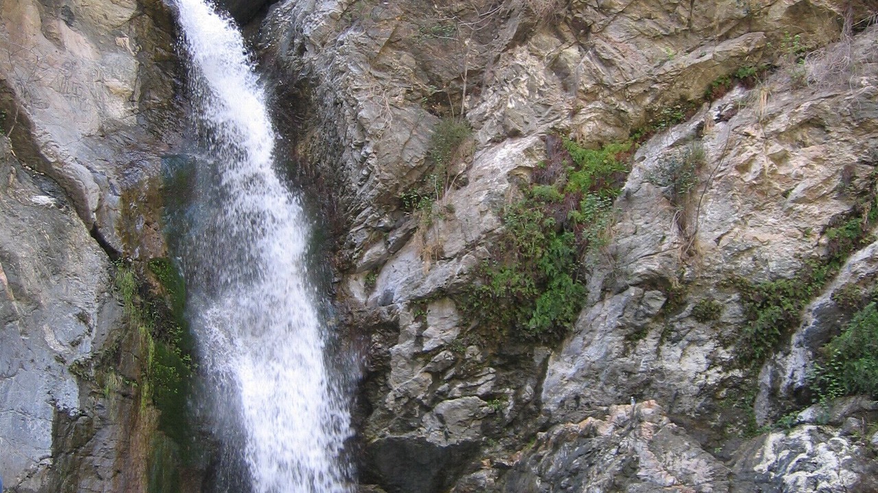 Photo of Others in Altadena