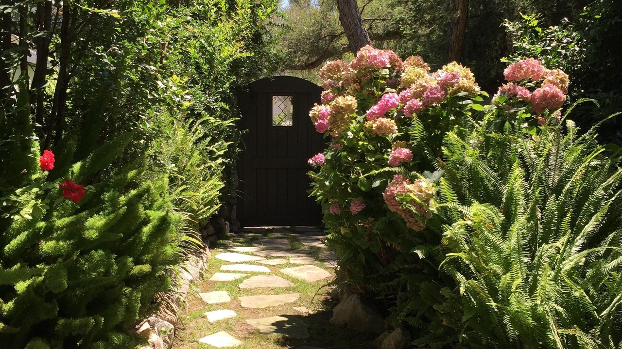 Photo of Outdoor in Altadena