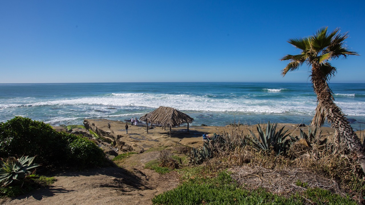 Photo of Others in Village of La Jolla
