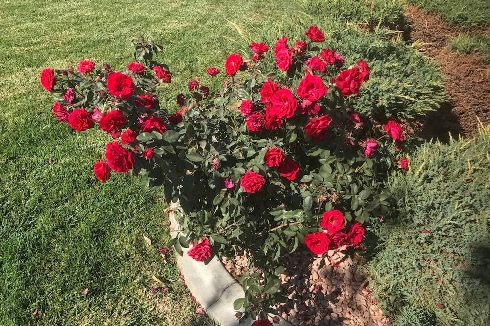 Photo of Outdoor in Lancaster