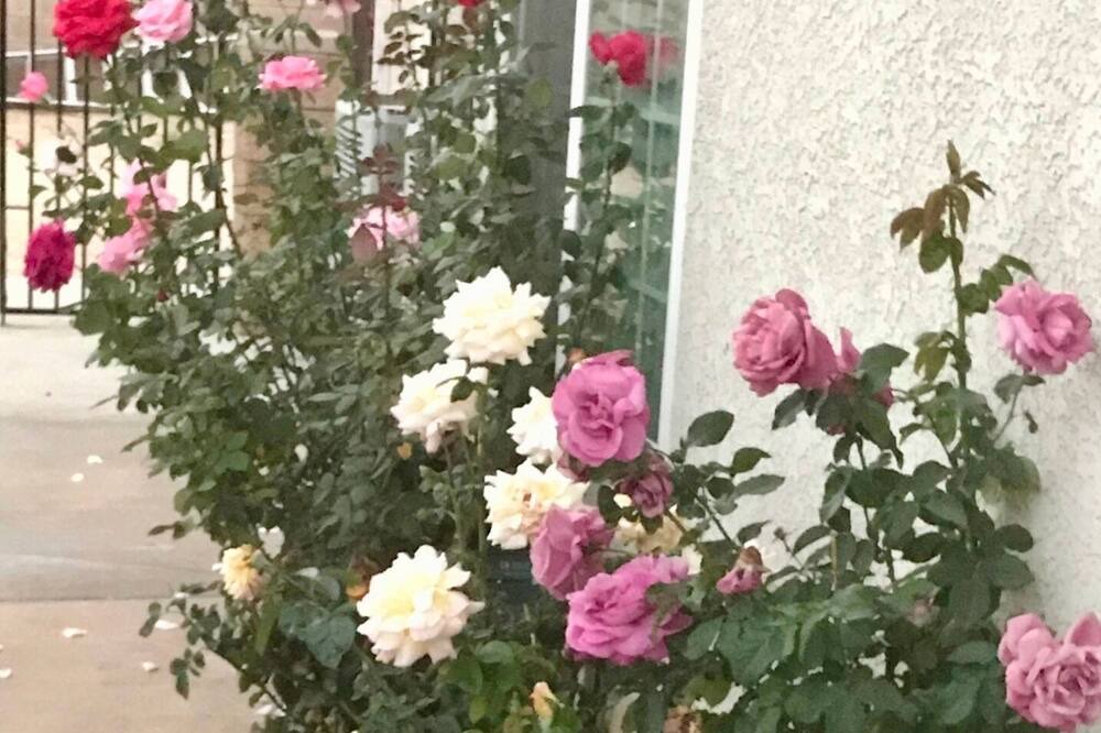 Photo of Outdoor in Lancaster