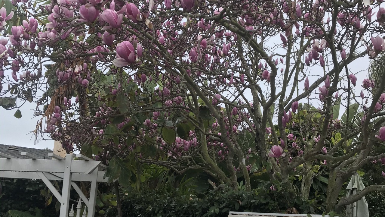 Photo of Outdoor in Huntington Beach