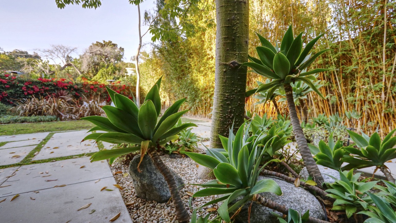 Photo of Outdoor in Sunset Park