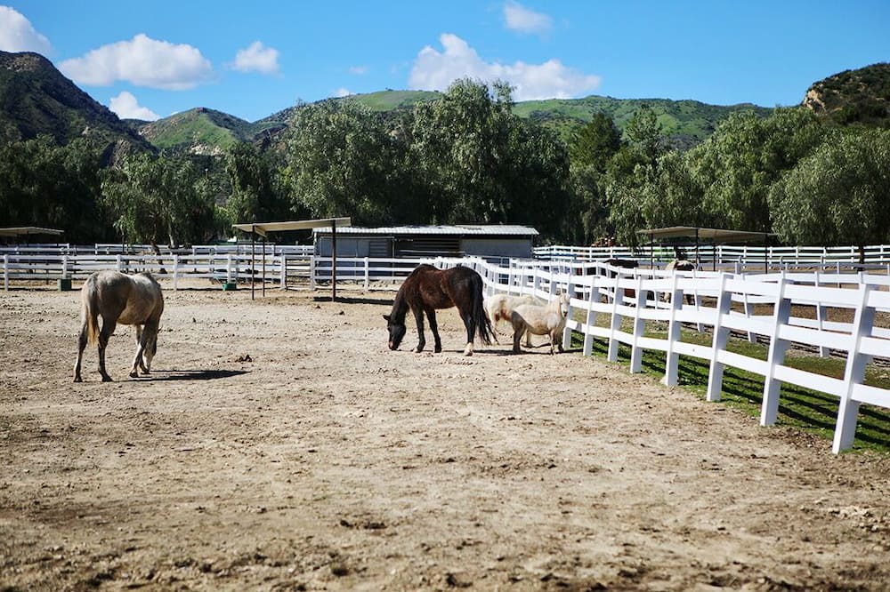 Photo of Others in Val Verde