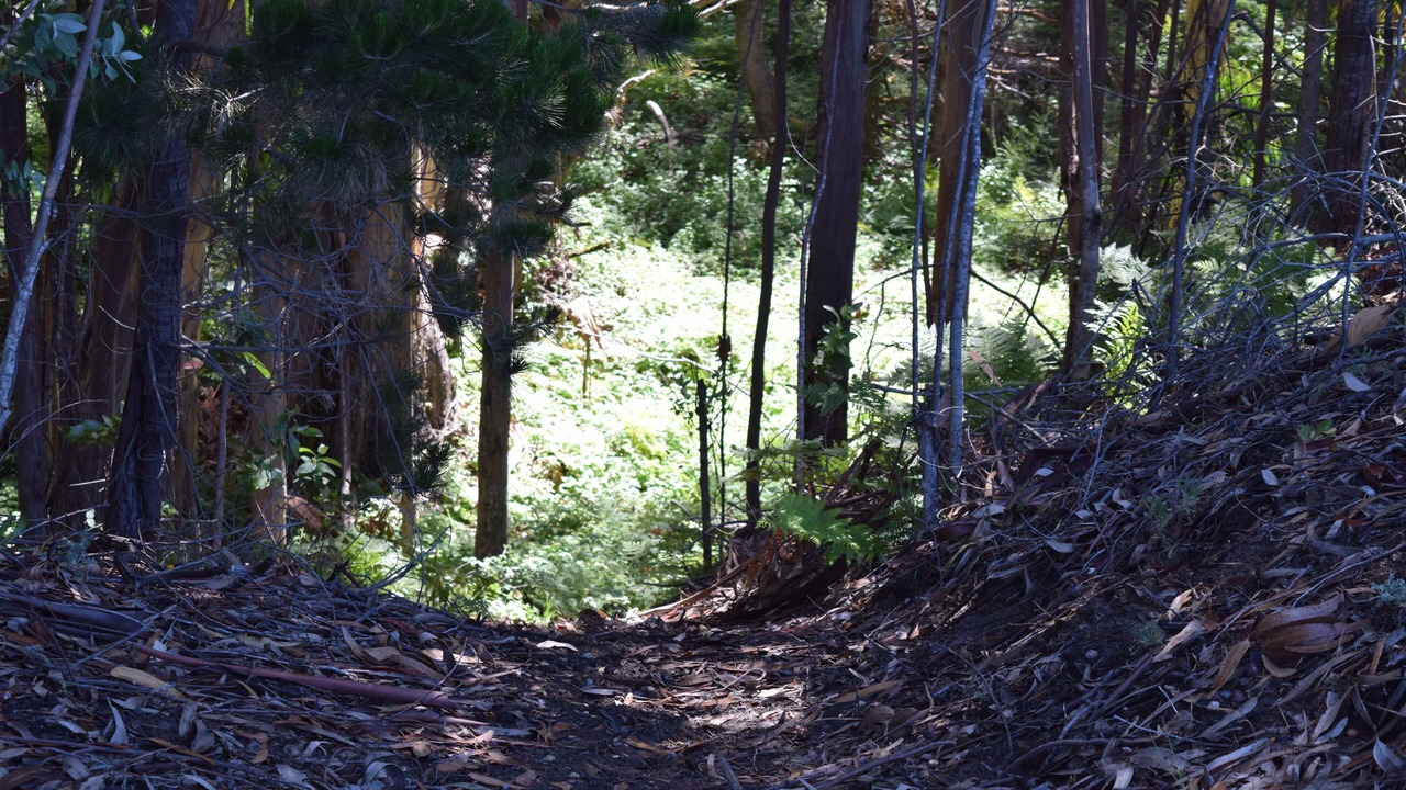 Photo of Outdoor in Fort Bragg