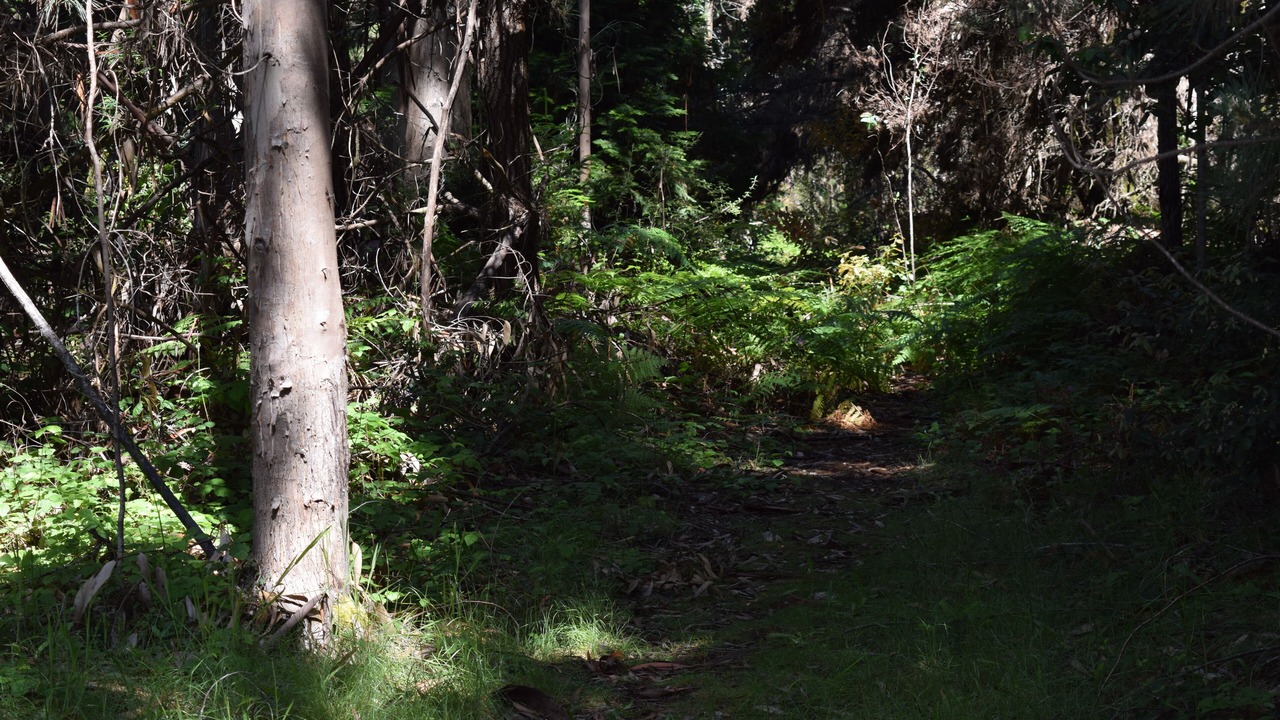 Photo of Outdoor in Fort Bragg