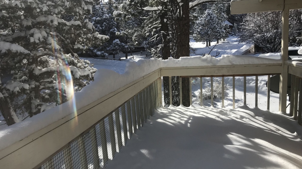 Photo of Outdoor in Woodlands