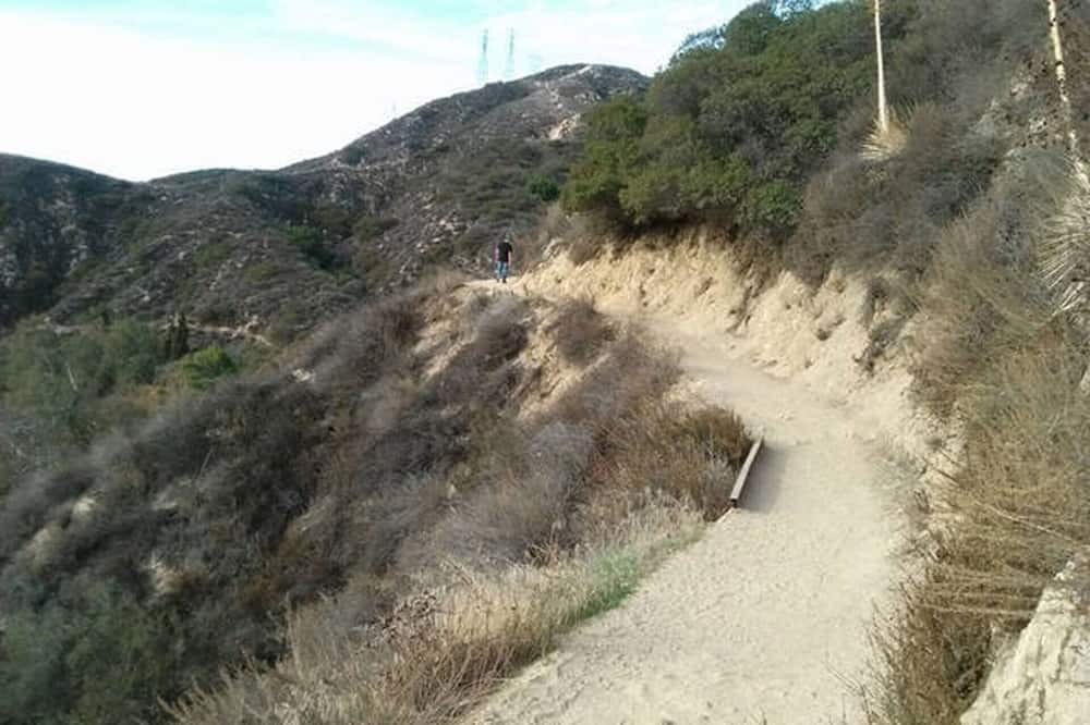 Photo of Others in Altadena