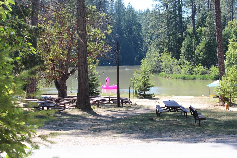 Photo of Others in Berry Creek