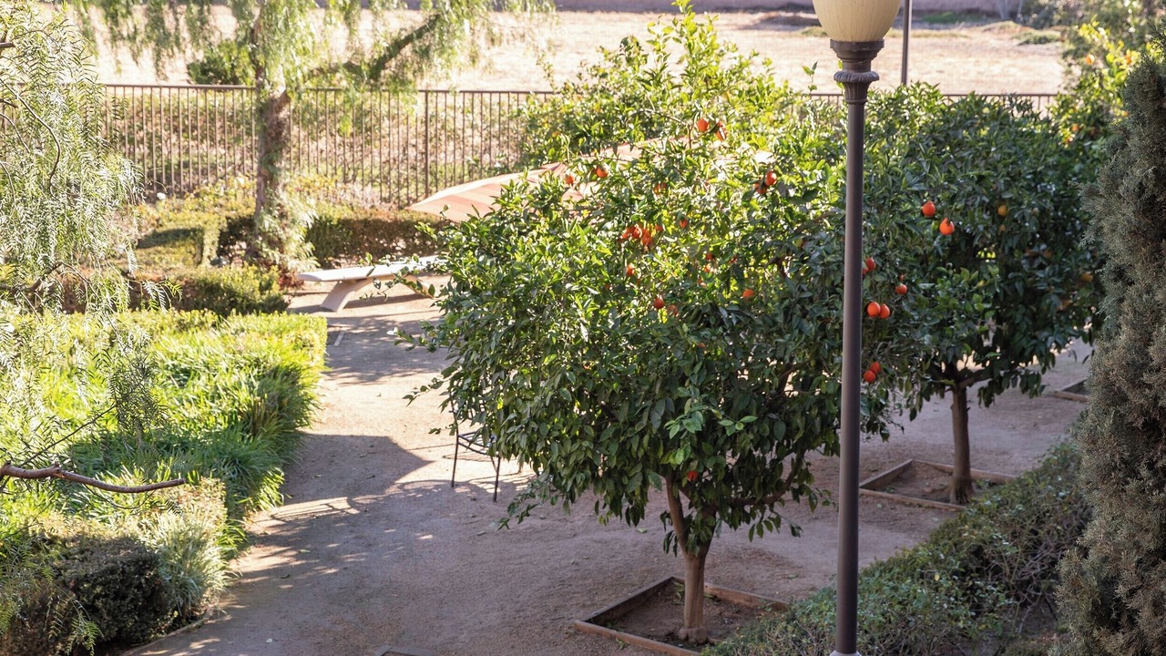 Photo of Outdoor in Los Serranos