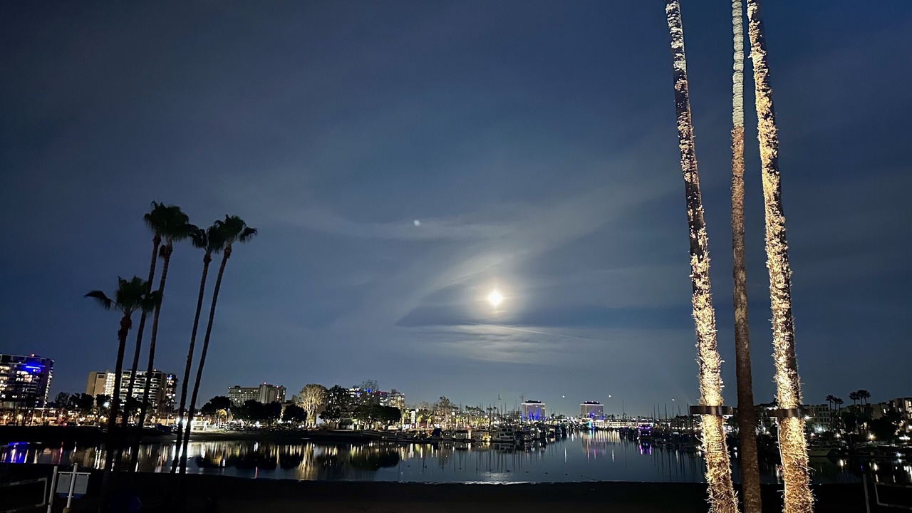 Photo of Outdoor in Marina del Rey