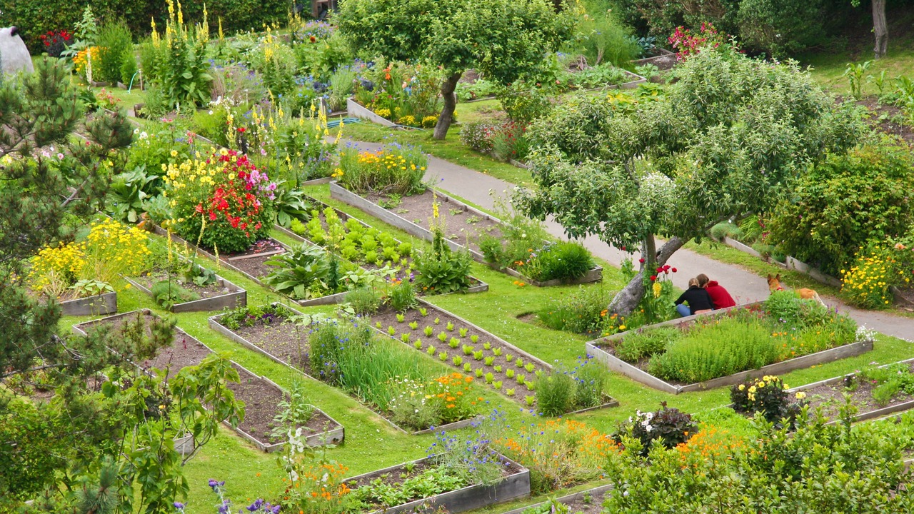Photo of Outdoor in Mendocino
