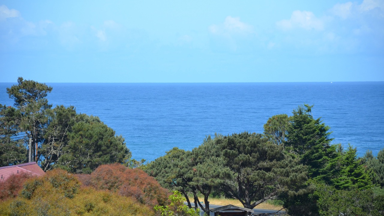 Photo of Others in Mendocino