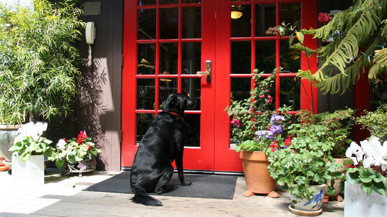 Photo of Others in Mendocino