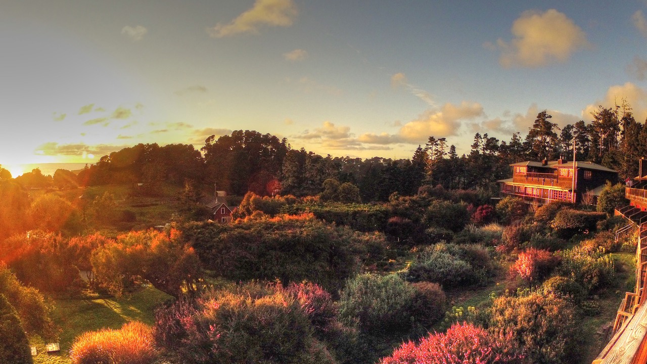 Photo of Outdoor in Mendocino