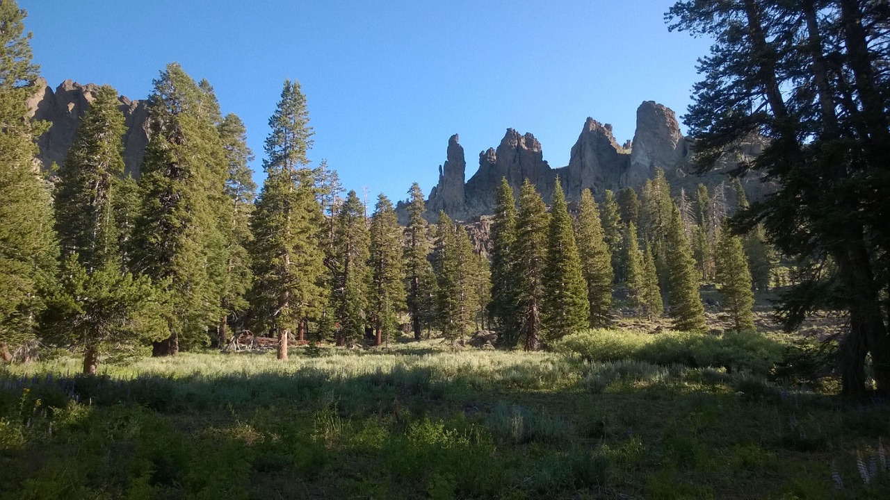 Photo of Outdoor in Strawberry