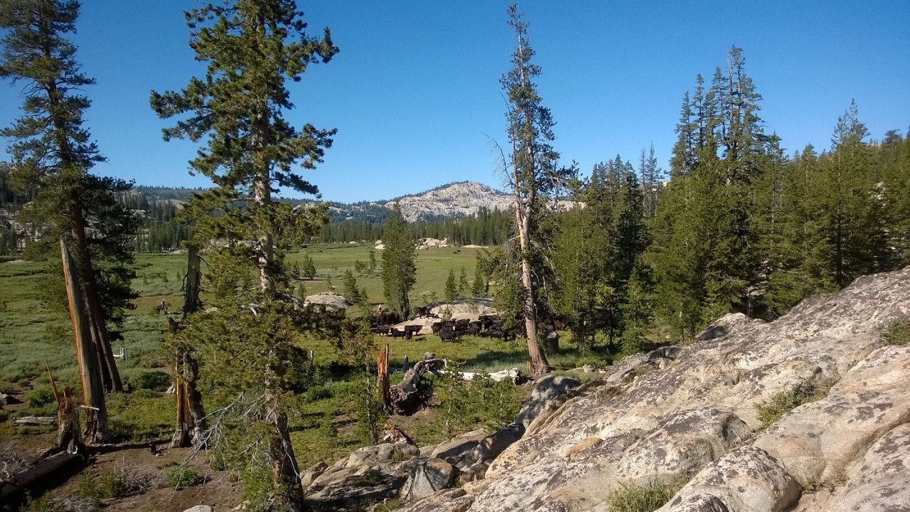 Photo of Outdoor in Strawberry