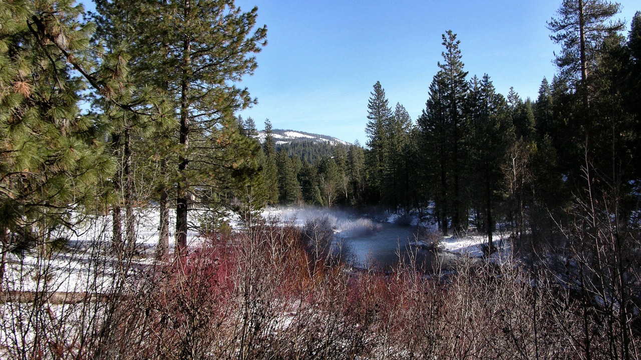 Photo of Outdoor in Strawberry