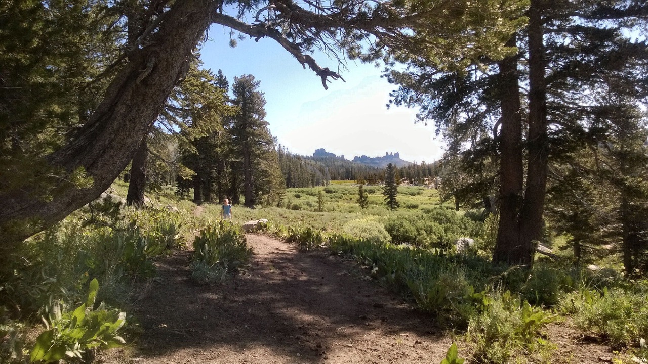 Photo of Outdoor in Strawberry