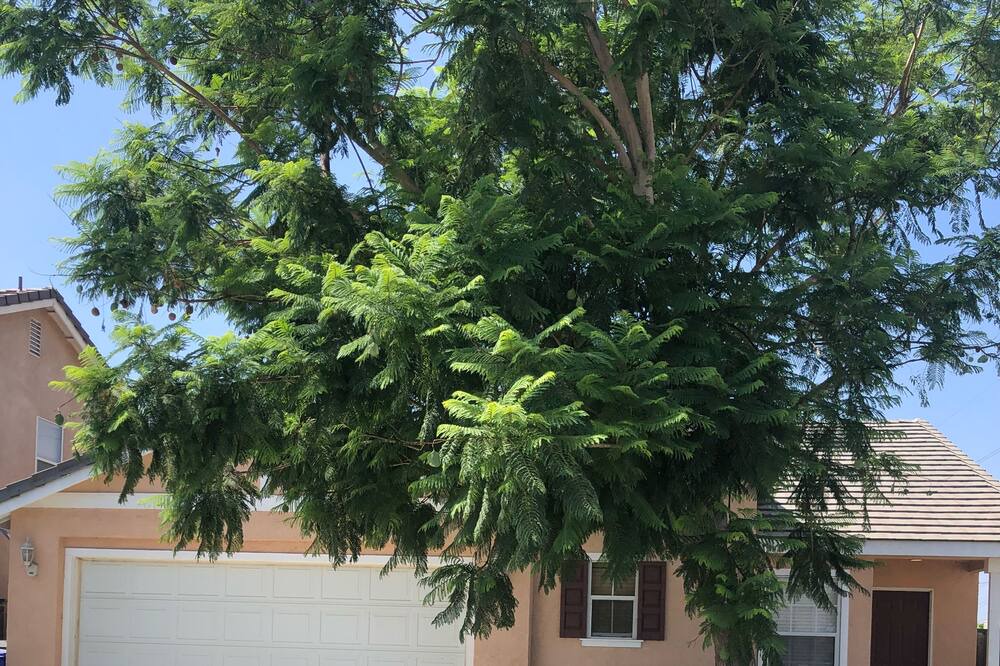 Photo of Outdoor in Southridge Village