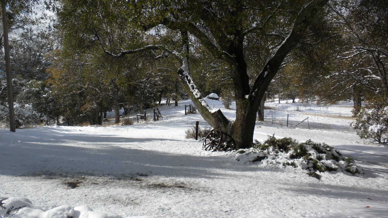 Photo of Others in Mariposa