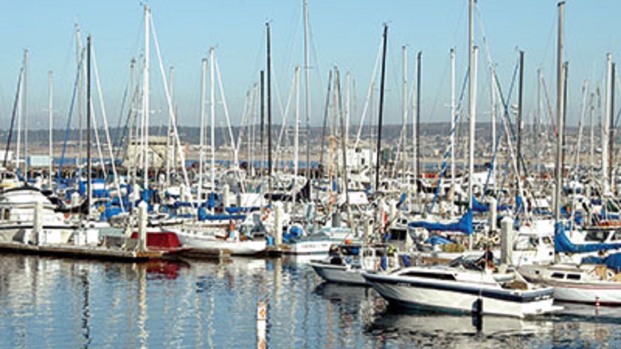 Photo of Others in Marina