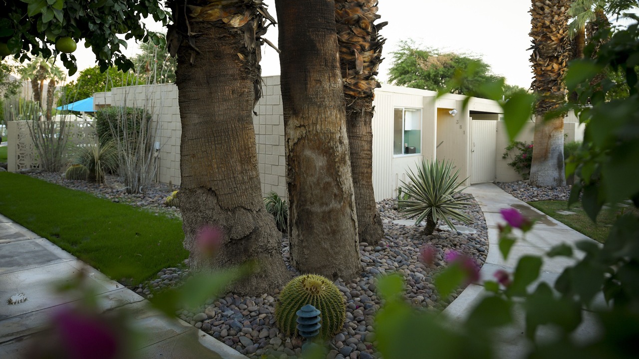 Photo of Outdoor in Palm Desert