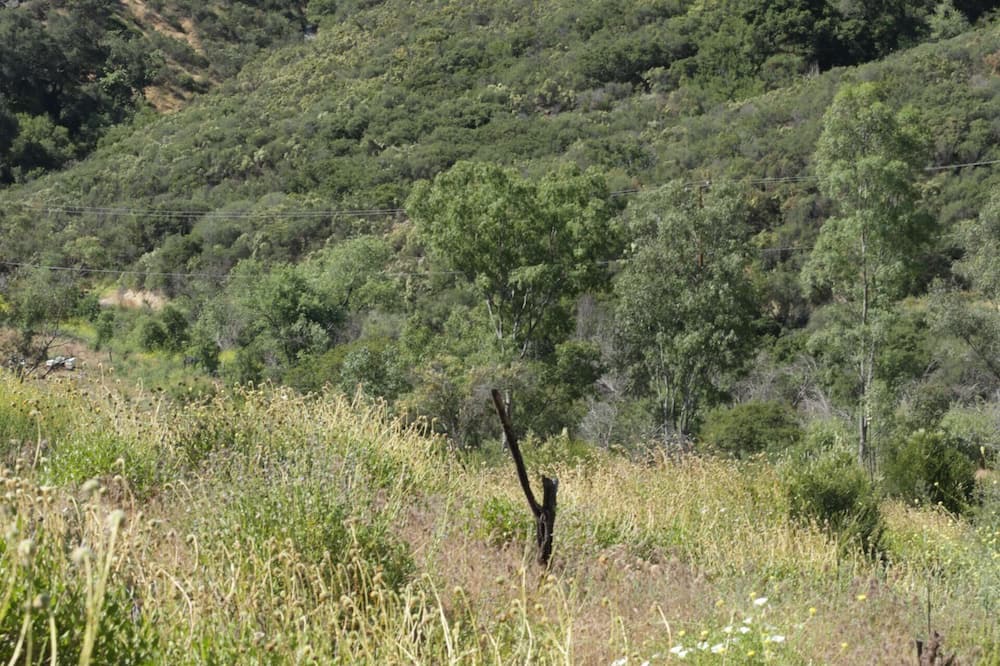 Photo of Outdoor in Old Topanga