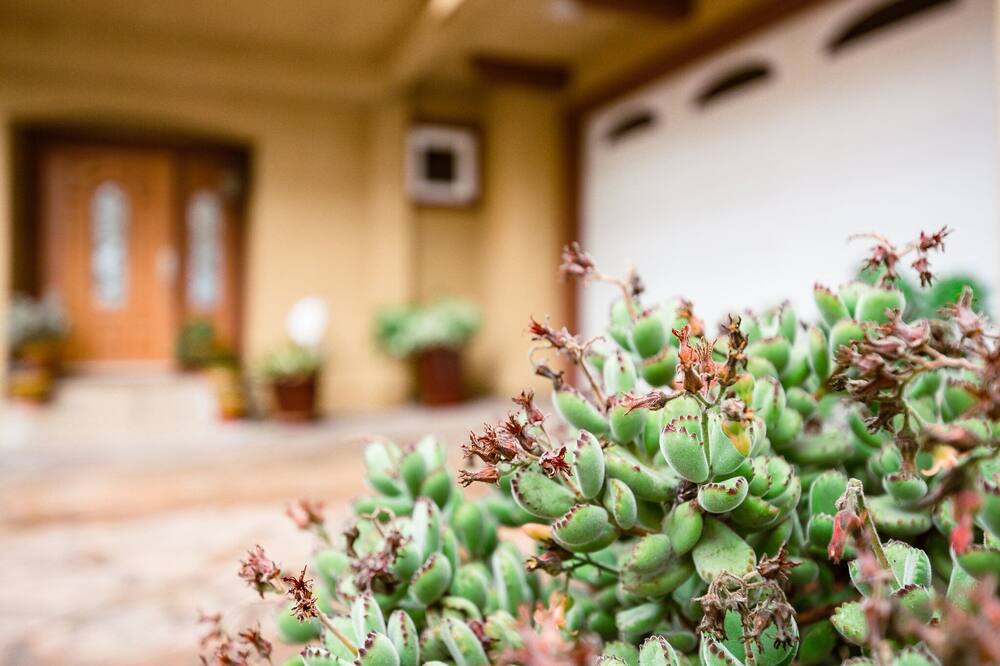 Photo of Outdoor in North Redondo