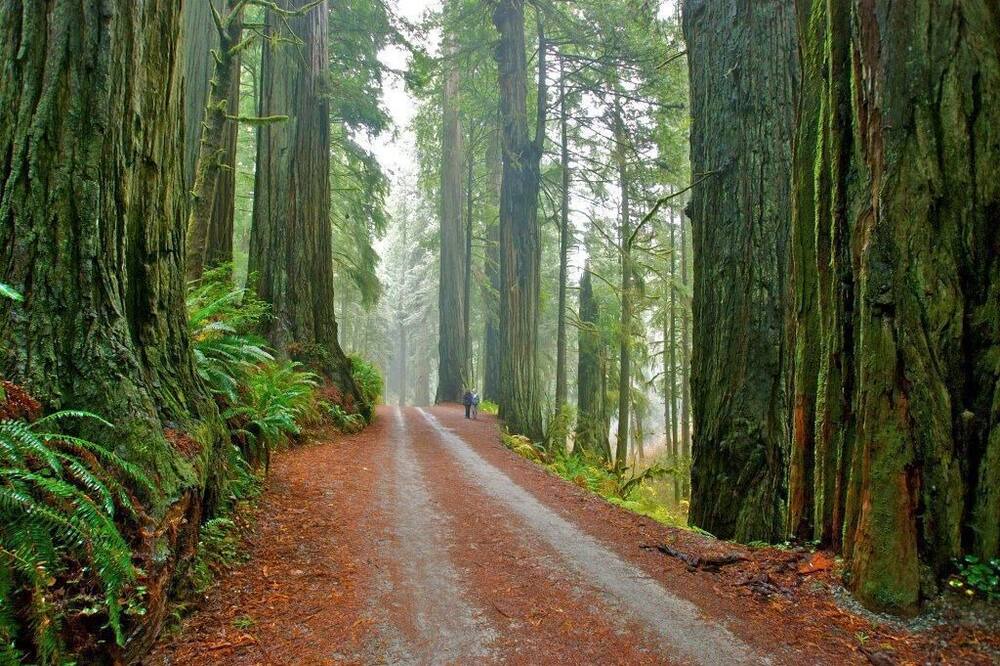 Photo of Others in Crescent City