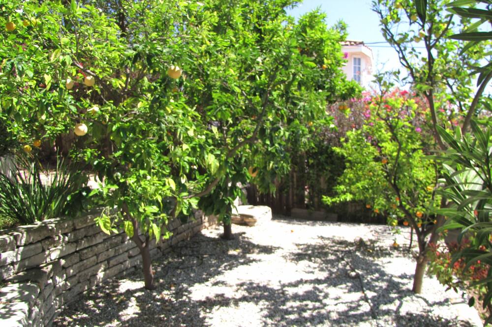 Photo of Outdoor in Elysian Heights