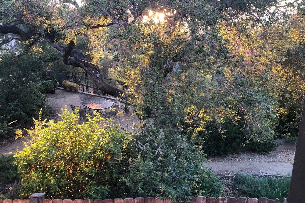Photo of Others in Elysian Heights