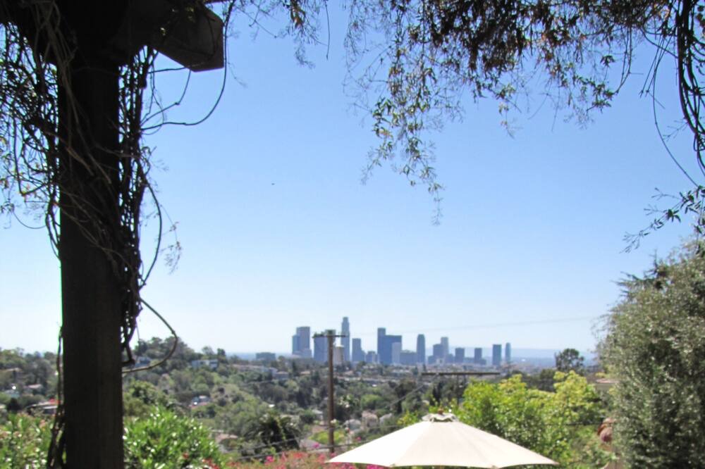 Photo of Others in Elysian Heights