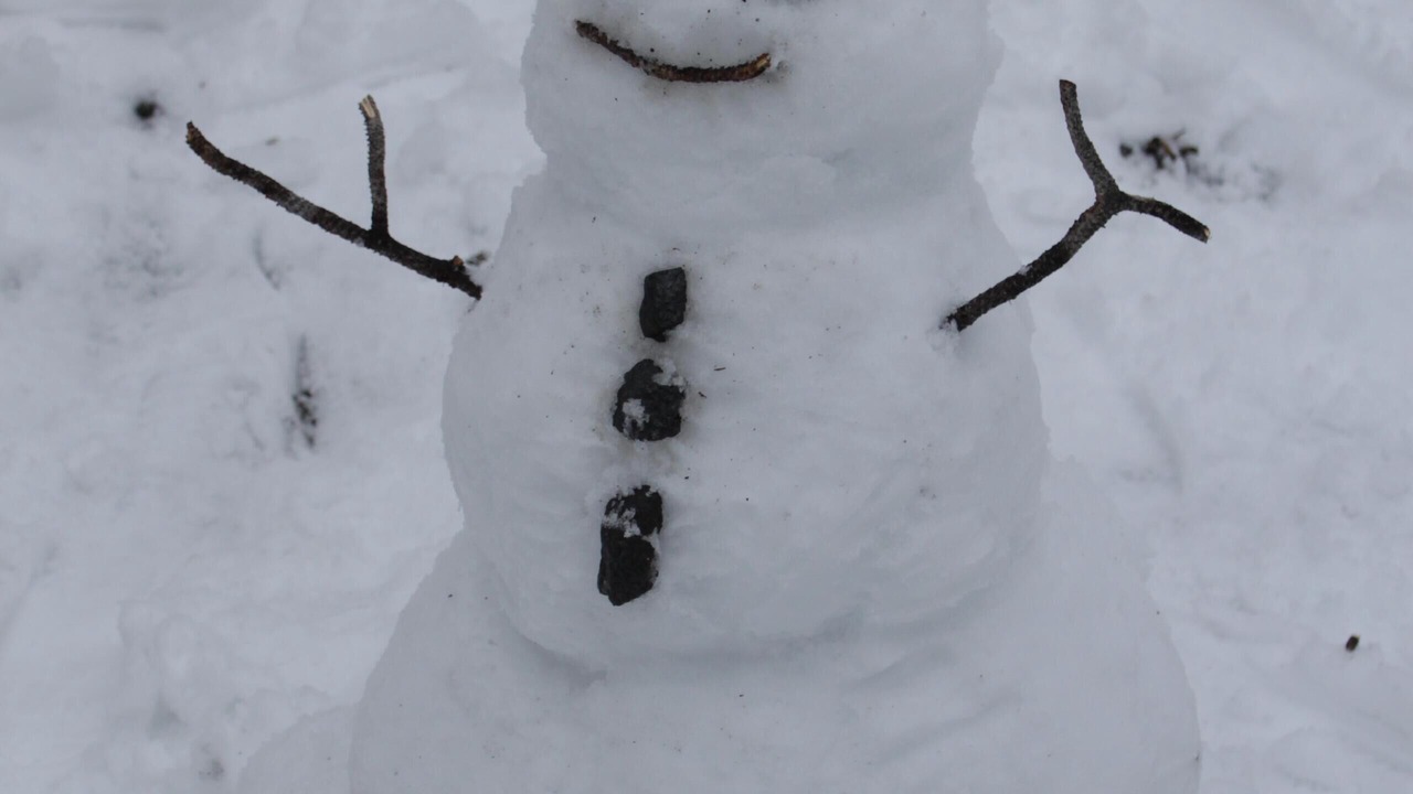 Photo of Others in Wrightwood