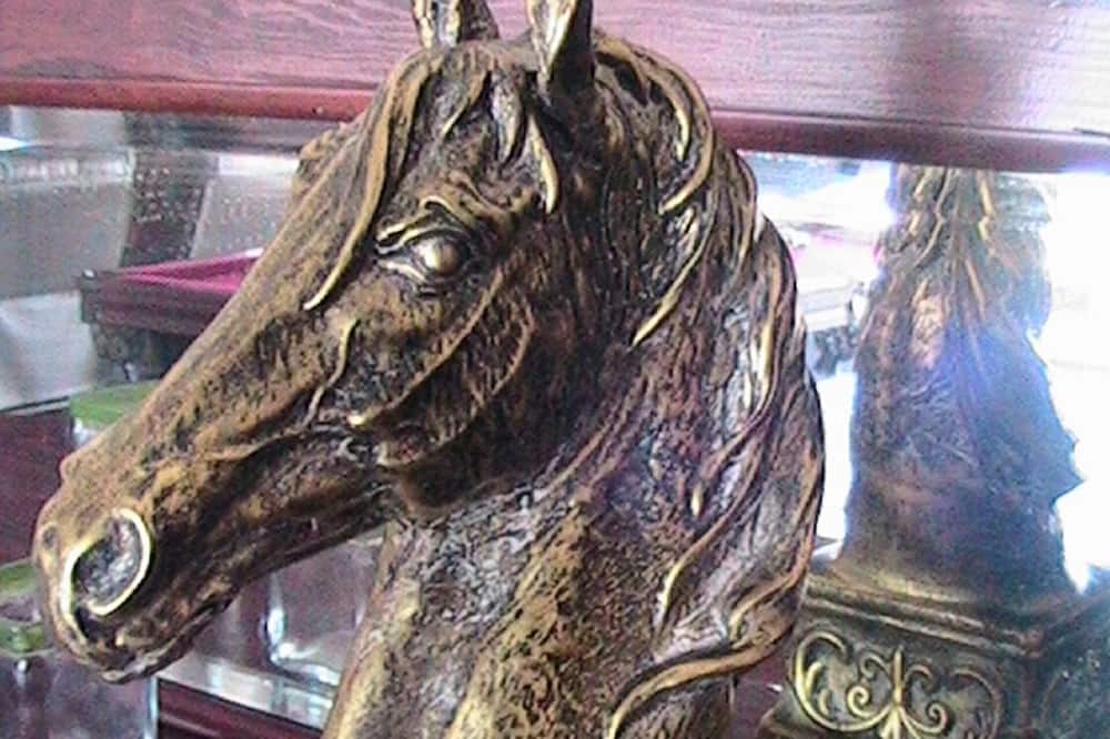 Photo of Others in Borrego Springs