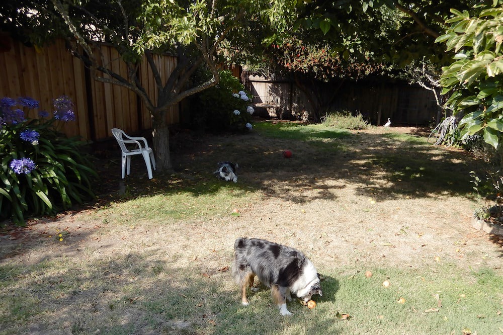 Photo of Outdoor in Opal Cliffs