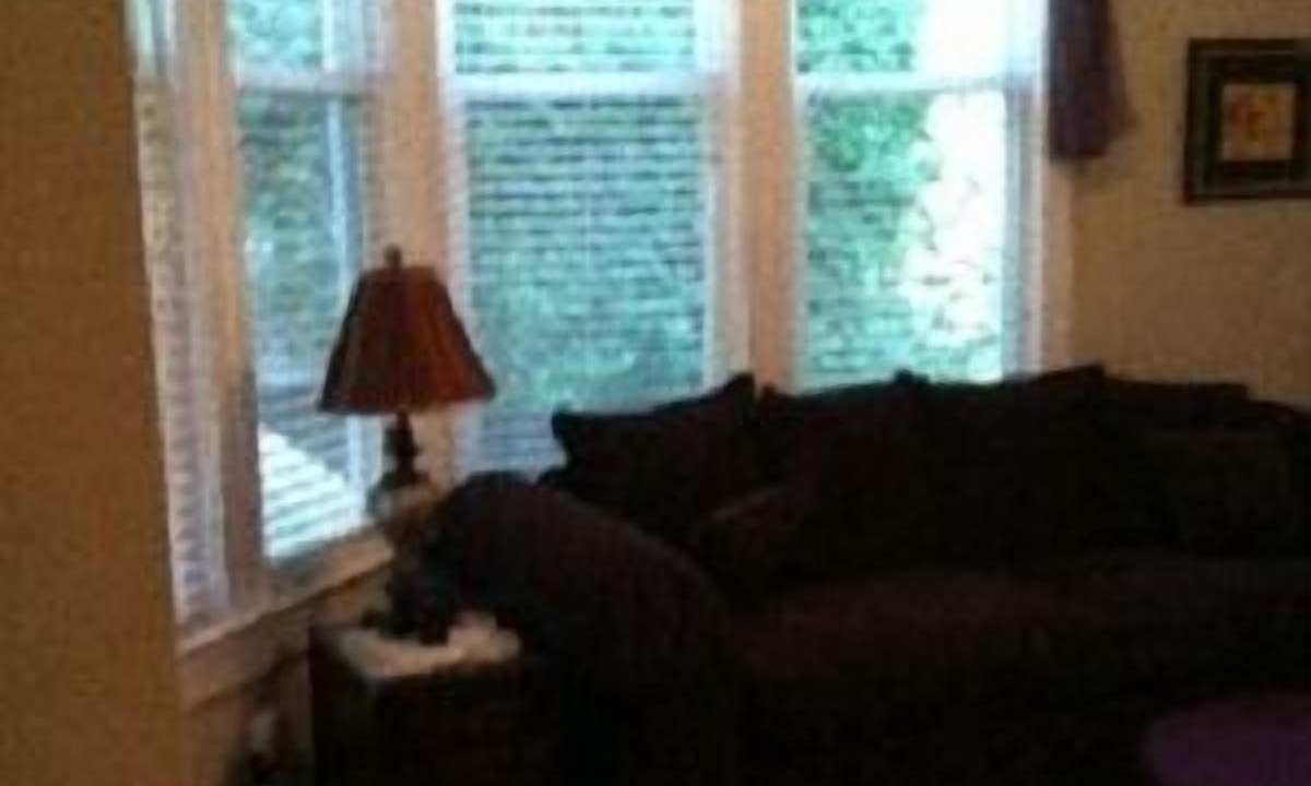 Photo of Livingroom in Belmont Heights